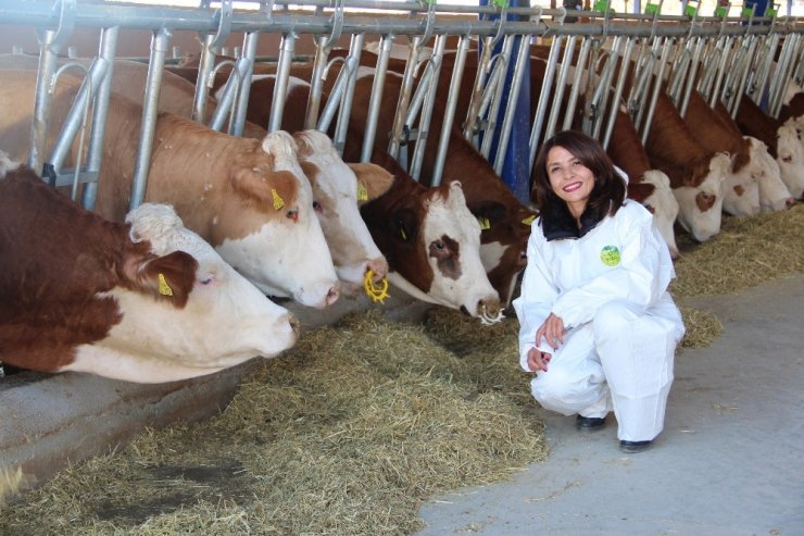 TKDK’dan Çorum’a 201 milyon TL’lik yatırım