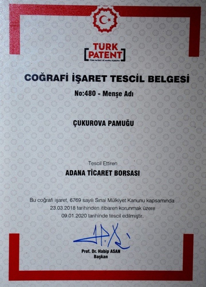 "Çukurova Pamuğu" tescillendi