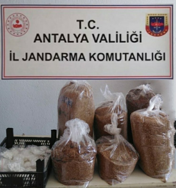 Antalya’da jandarmadan kaçak sigara denetimi