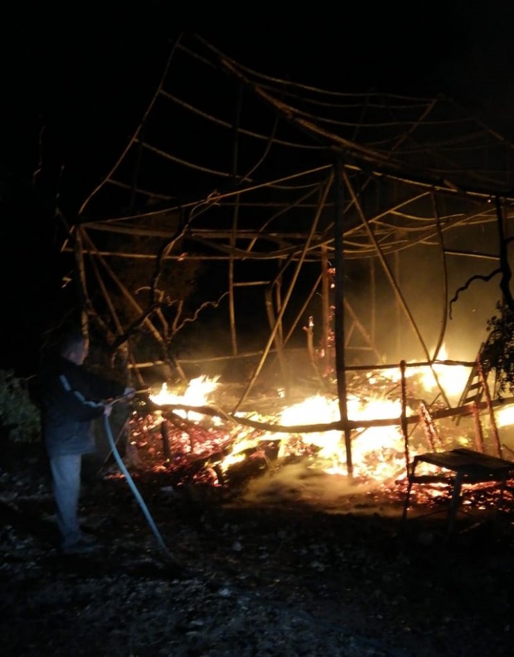 Bursa'da bağ evinden zeytin tarlasına sıçrayan yangın söndürüldü