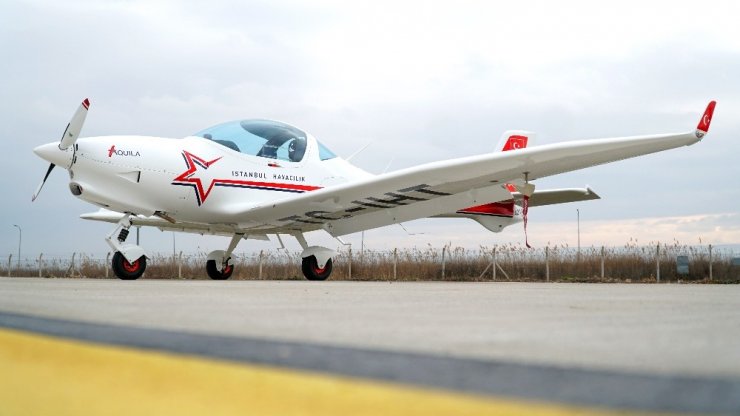 Türk Kartalı Aquila yuvaya döndü