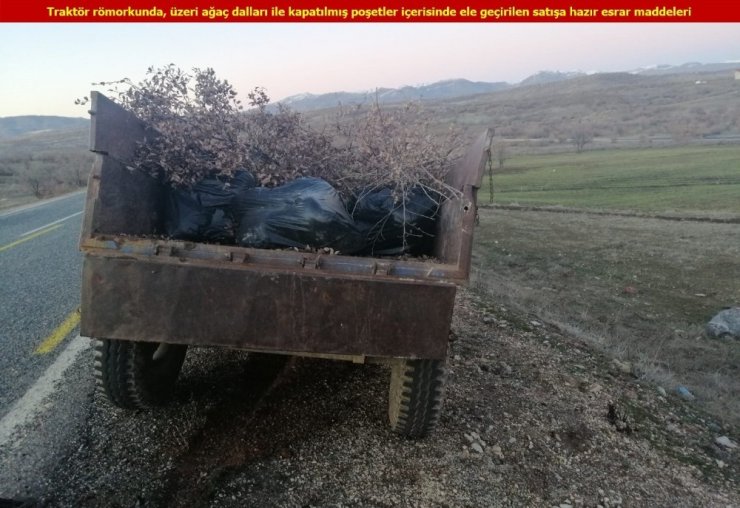 Uyuşturucuyu kestikleri ağaç dallarının arasına saklamışlar