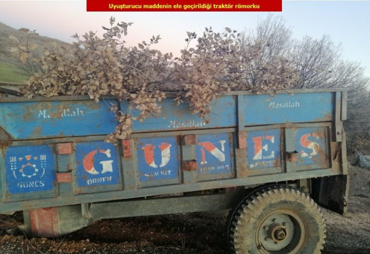Uyuşturucuyu kestikleri ağaç dallarının arasına saklamışlar