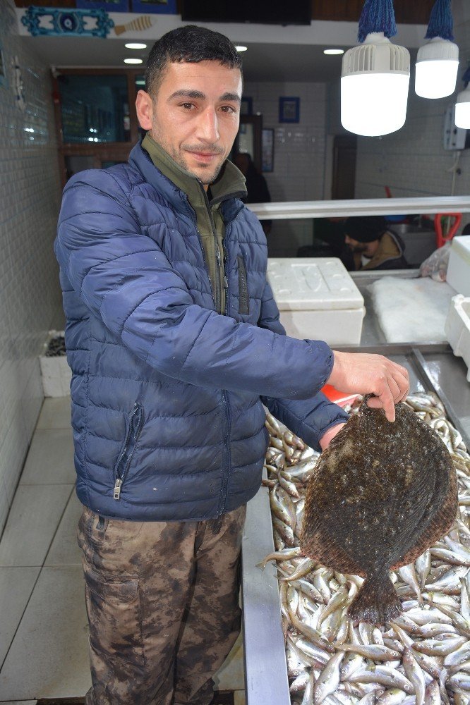 Bu kalkan balığının fiyatı 585 TL