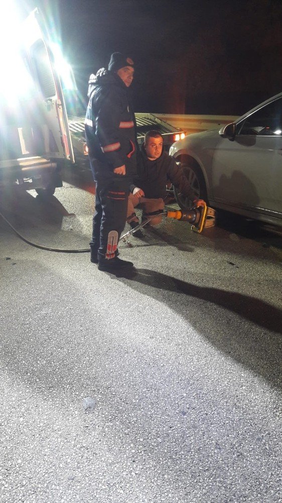 Aniden yola çıkan domuza otomobil çarptı