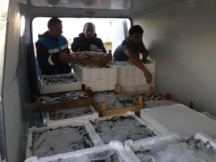 Ordu’da su ürünlerine sıkı denetim