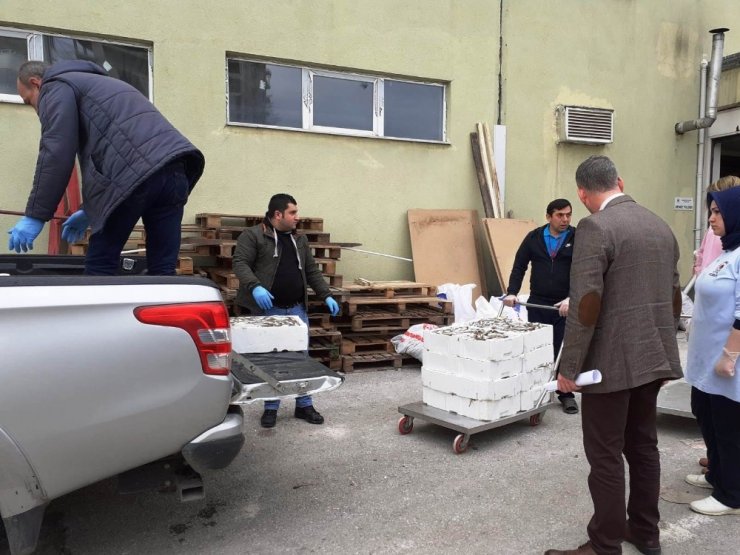 3 ilde 1,5 ton balığa el koyuldu