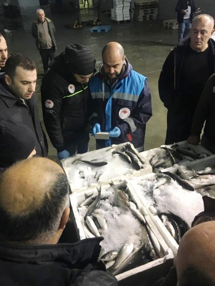 3 ilde 1,5 ton balığa el koyuldu