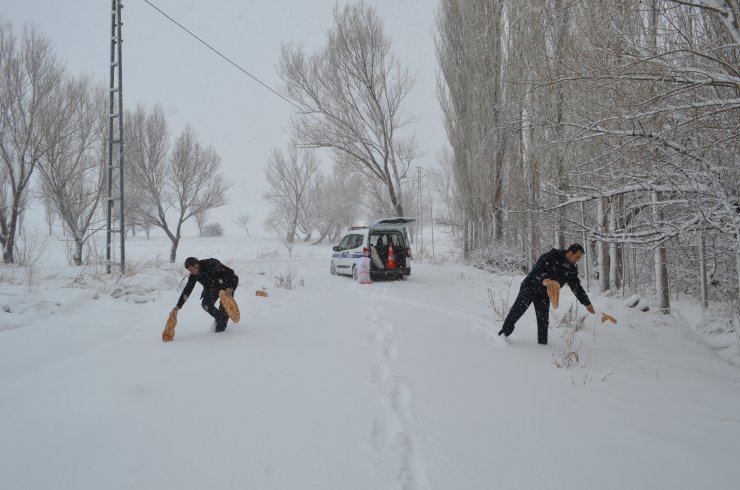 Bünyan'da yaban hayvanlarına yem desteği