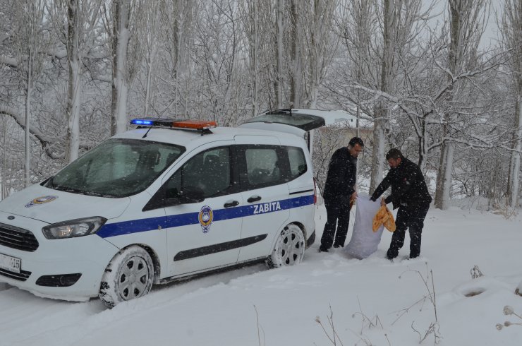 Bünyan'da yaban hayvanlarına yem desteği
