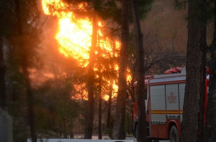 Valilikten doğal gaz borusu patlaması açıklaması