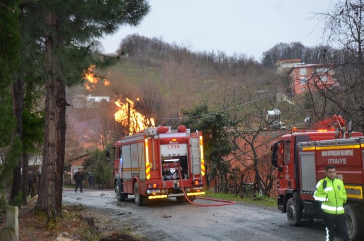 Ordu’daki doğal gaz patlaması