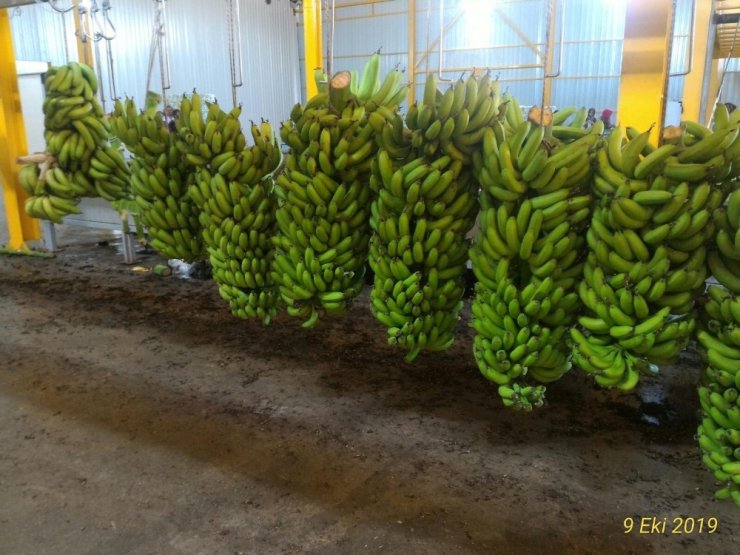 Kırsal Ekonomik Yatırım Projesi kapsamında Antalya’ya 32 milyon TL hibe