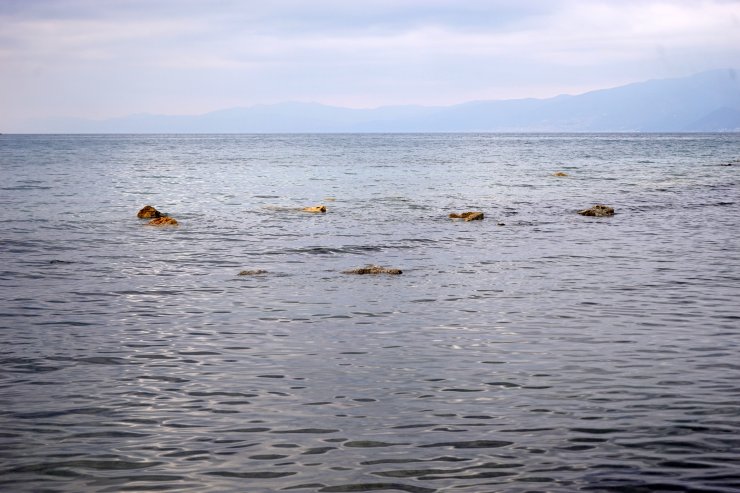 Kuzey Ege'de kalıntıları ortaya çıkan liman bin yıl aralıksız kullanılmış