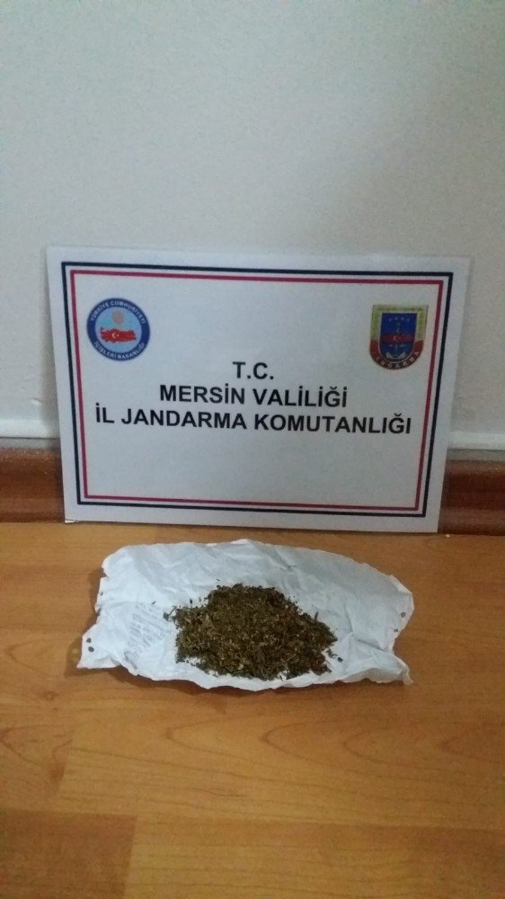 Jandarma ekipleri, uyuşturucu satıcılarına göz açtırmıyor