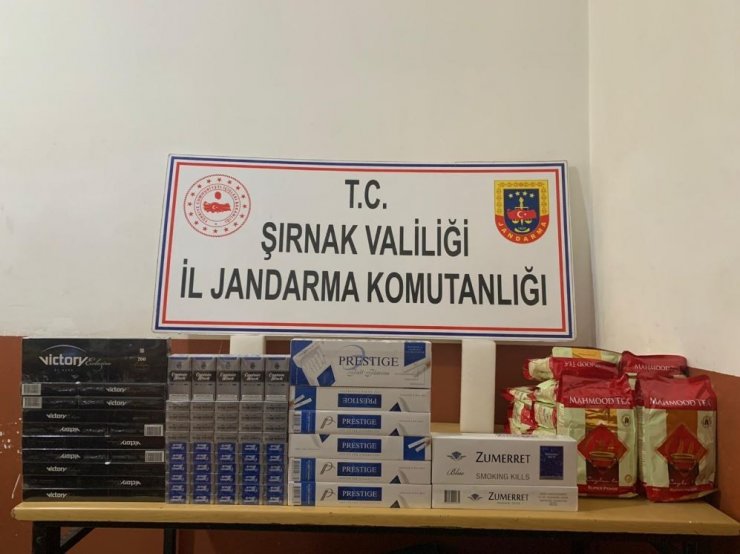 Şırnak’ta kaçakçılık ve terör operasyonu: 85 gözaltı