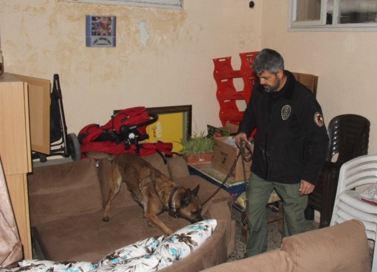 Okul önlerinde narkotik köpeğiyle uyuşturucu arandı