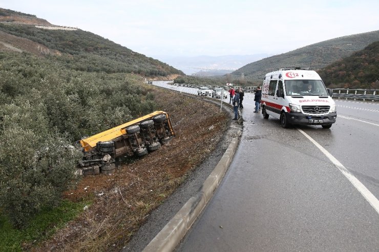 Tır kaygan yolda zeytinliğe uçtu