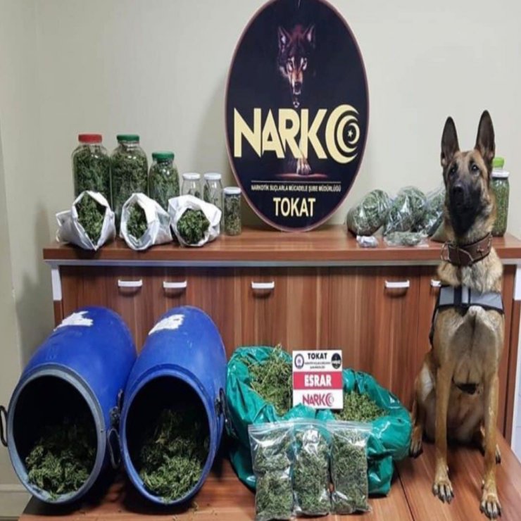 Ülke genelindeki Narkotik uygulamalarında 2 bin 929 kişi yakalandı
