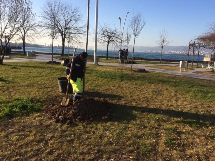 Gölcük sahilleri bahara hazırlanıyor