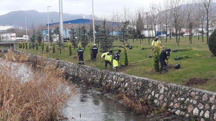 Gölcük sahilleri bahara hazırlanıyor