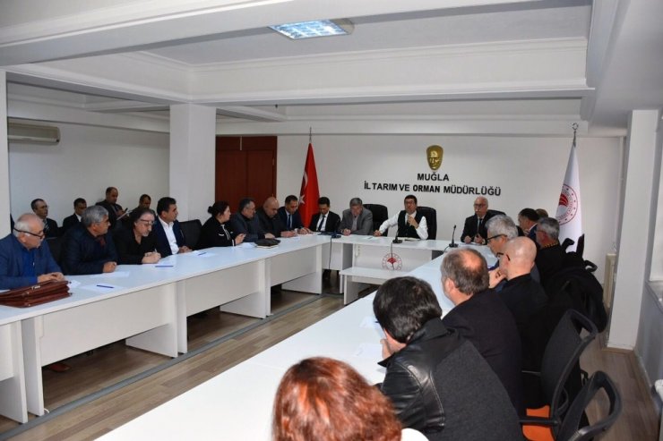 Muğla tarımı masaya yatırıldı