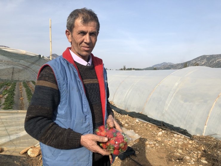 Kozan çileğini marka yapmak istiyor