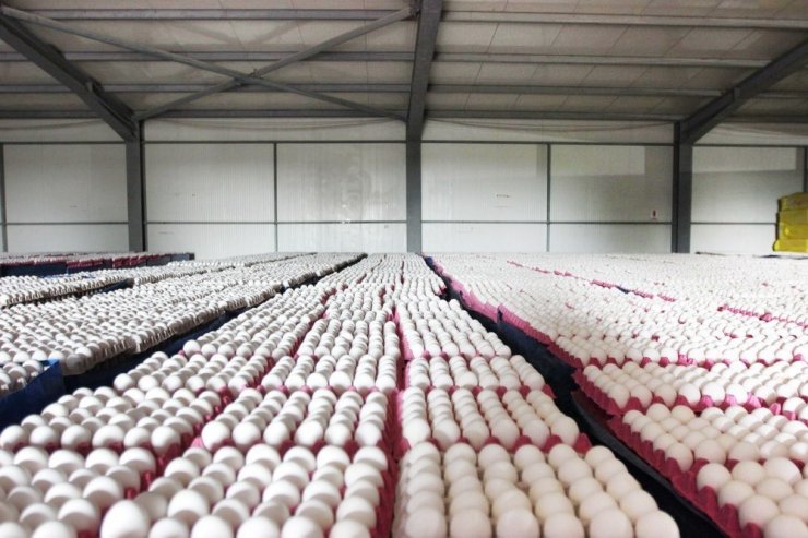 Afyonkarahisar’ın Ocak ayı ihracatı 28 milyon 819 bin dolar oldu