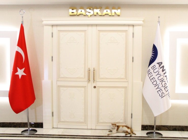 Enkaz altından başkanlık makamına