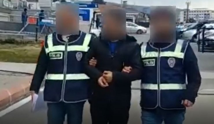 Durak faresi kameralara yakalandı