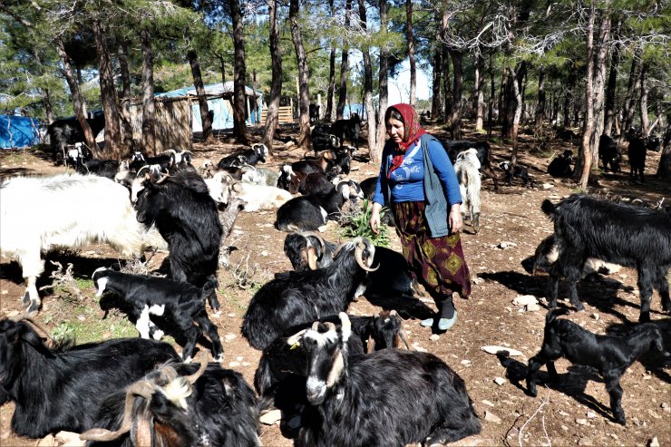 Mersin'deki Yörüklerin depremzedeler için yaptığı yardımlar bölgeye gönderildi