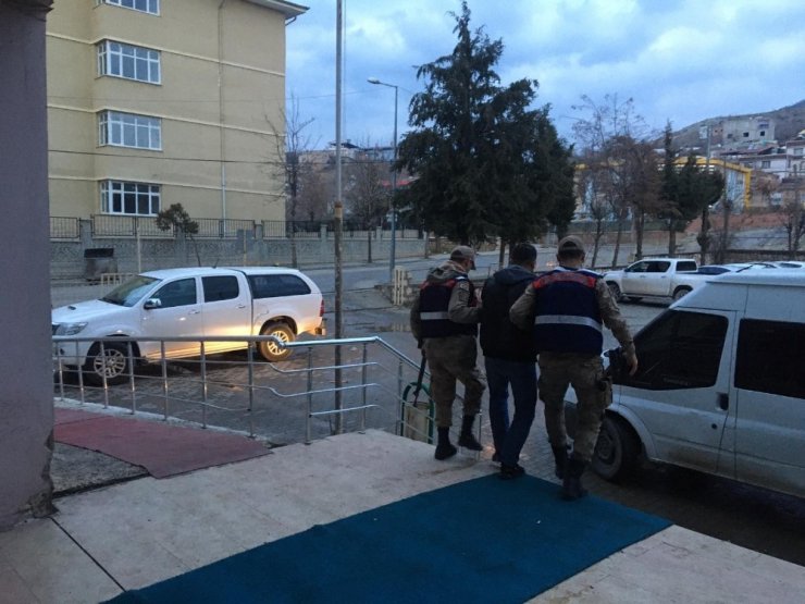 Siirt’te küçükbaş hayvan hırsızları tutuklandı