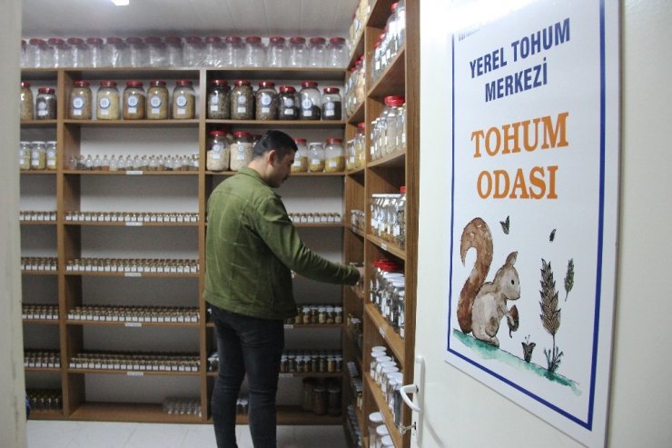 Türkiye’nin yerli tohumu Muğla’dan