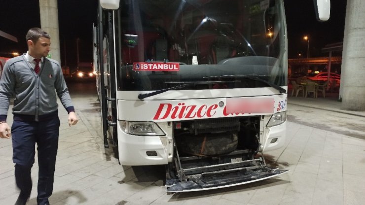 Yolcu otobüsünde valizden kaçan piton paniğe neden oldu