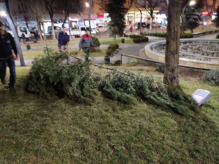 Ankara’da fırtına ağaçları devirdi