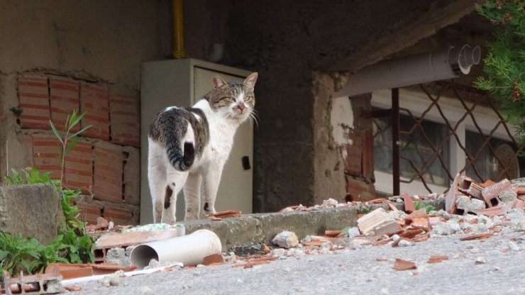 Ordu’da şiddetli fırtına nedeniyle 4 katlı bina tahliye edildi