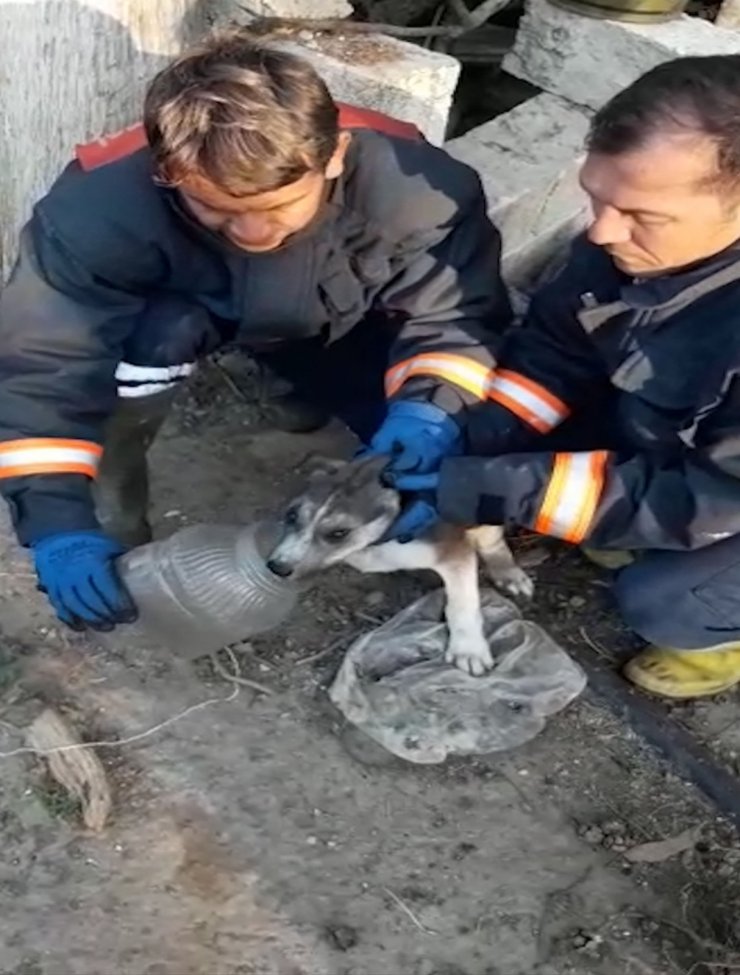 Kafası bidona sıkışan köpeği itfaiye ekipleri kurtardı