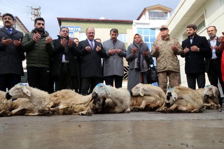 Sivas ve Yozgat'ta ülkede yaşanan olumsuzluklara karşı mevlit okutuldu, kurban kesildi