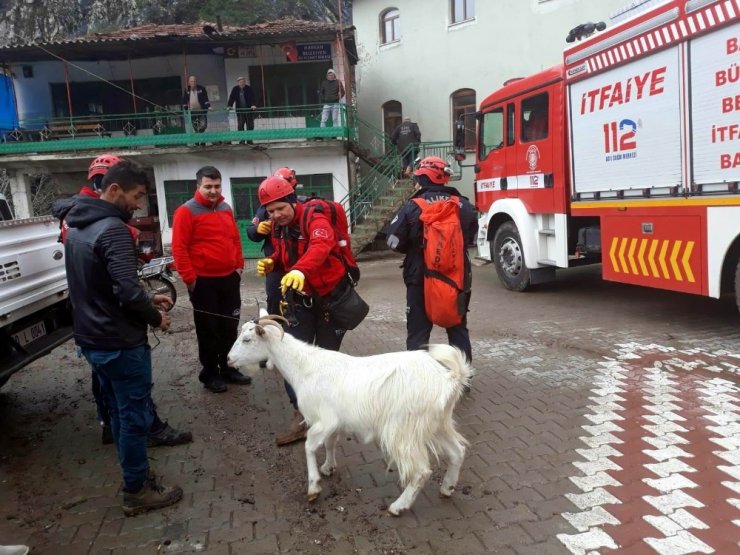 Nefes kesen keçi kurtarma operasyonu
