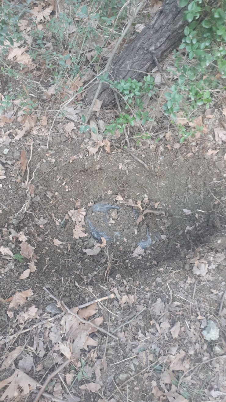 Bursa'da toprağa gömülü patlayıcı bulunmasıyla ilgili iki şüpheli daha yakalandı