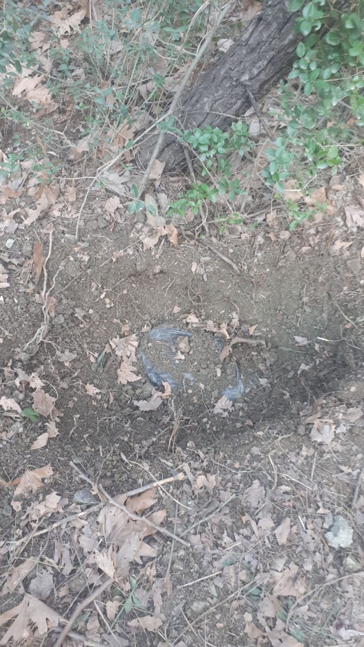 Bursa'da toprağa gömülü patlayıcı bulunmasıyla ilgili iki şüpheli daha yakalandı