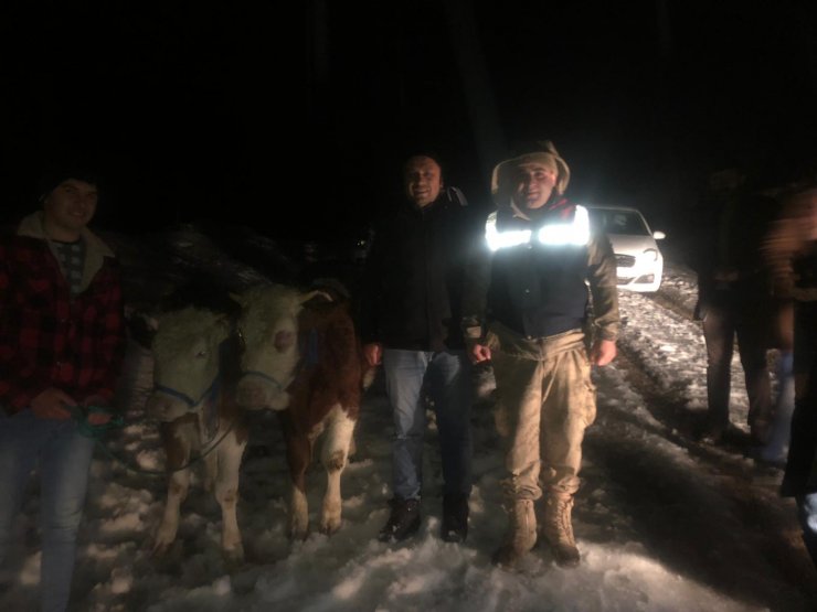 Suşehri’nde çalınan hayvanlar 3 gün sonra bulundu