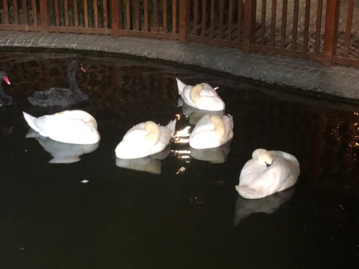 Ankara’nın en soğuk gecesi