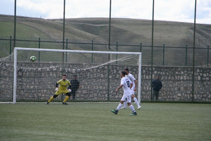 Silvan Aslanspor kendi evinde güldü