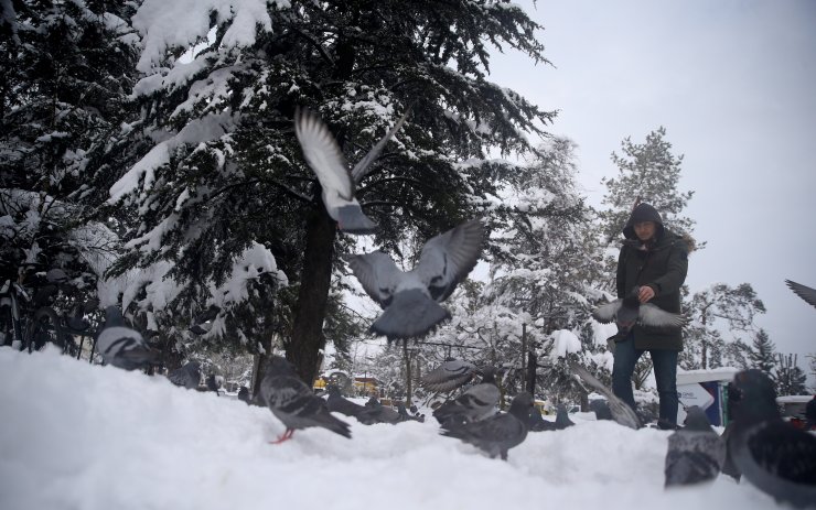 Karabük'te kar nedeniyle kapanan 195 köy yolunun 135'i açıldı