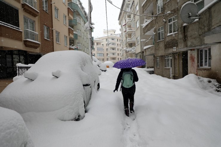 Karadeniz'de kar yağışı etkili oluyor
