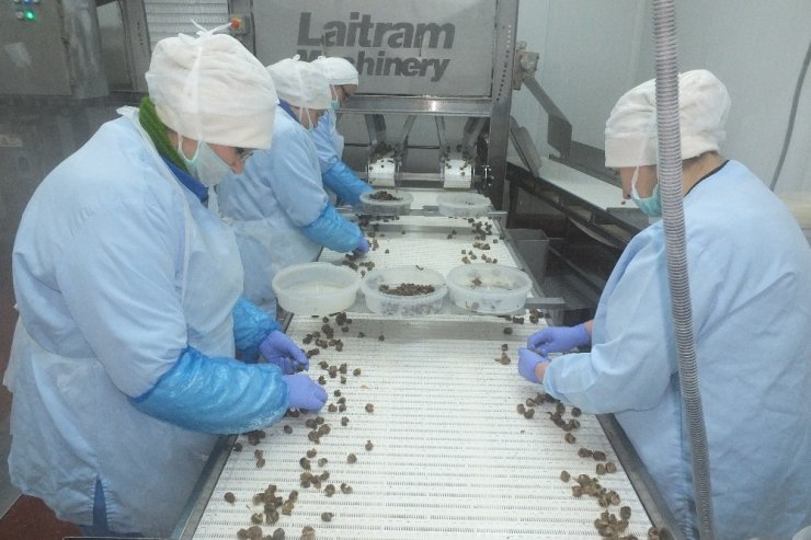 Korona virüsü donmuş su ürünlerine talebi artıracak