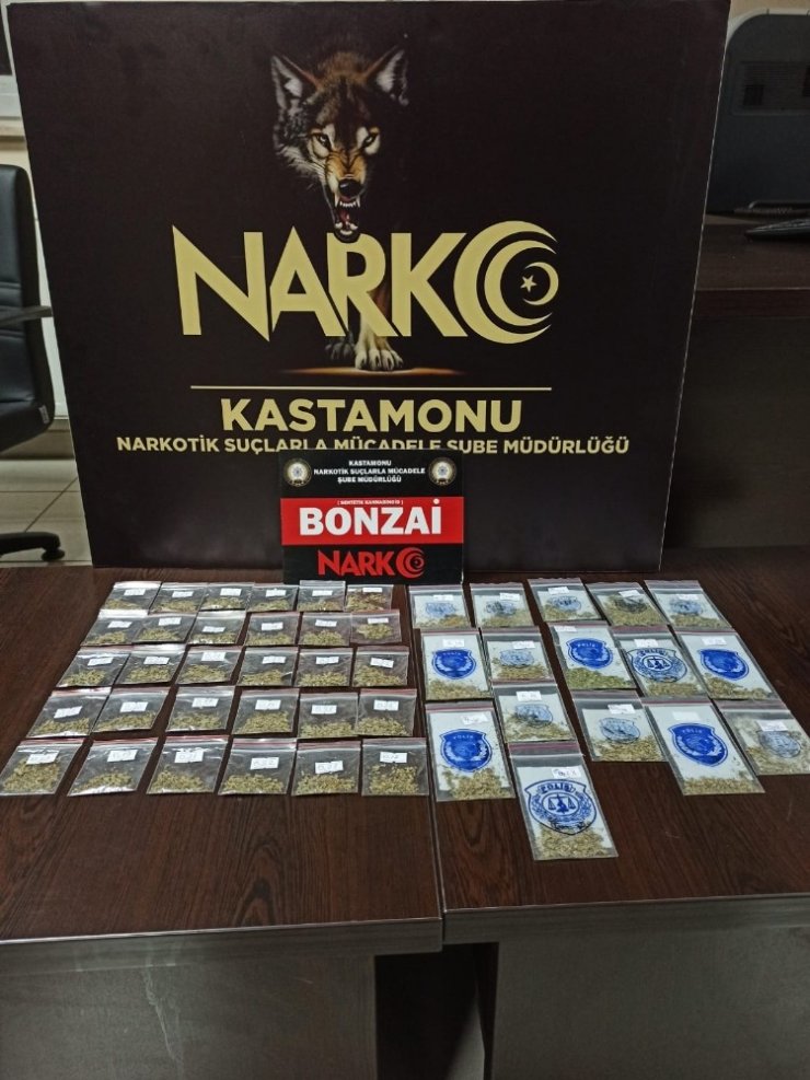 Kastamonu’da bonzai ve esrar yakalandı