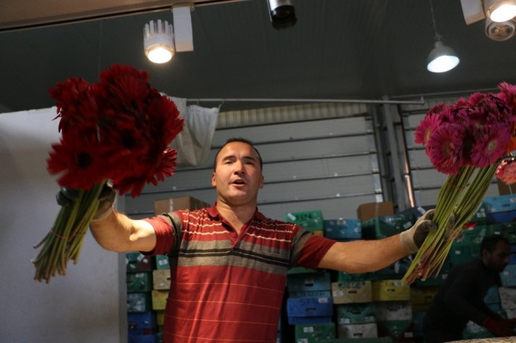 Çiçekçiler korsanlardan dertli