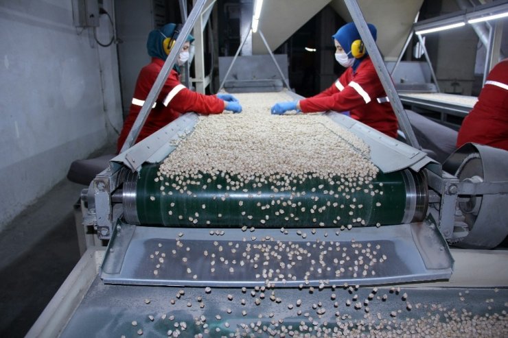 Güldal’dan üreticiye müjde: “Alım fiyatlarını bu yıl da hasat öncesi açıklayacağız”